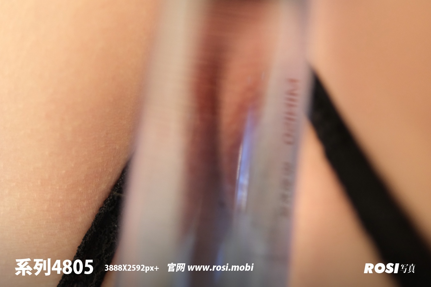 ROSI写真 2025.01.30 NO.4805